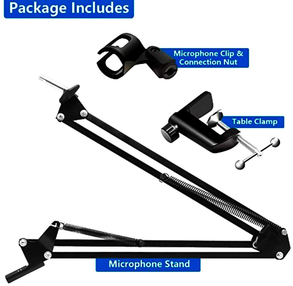 Professional Microphone Stand (Black)