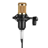 Professional Microphone Condenser Audio