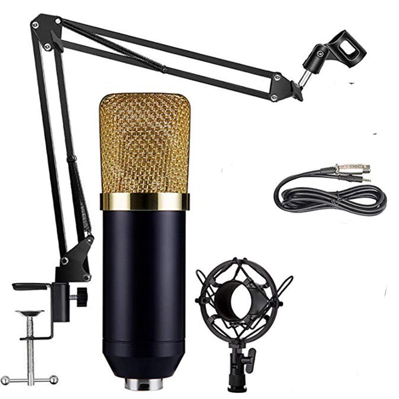 Professional Microphone Bm800 USB